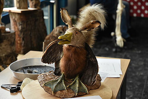 Einen "echten" Wolpertinger gab es bei den Biologen zu bestaunen.